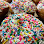 Leucadia Donut Shoppe logo