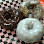Bearscat Bakehouse - Mandan logo