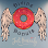 Divine Donuts Fort Myers logo